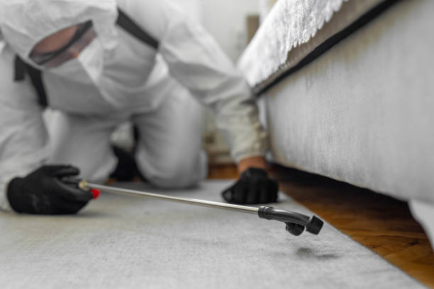 Professional Bed Bug Control technician working in Mills County County, IA